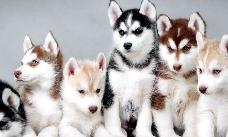 explicabo-cumque-illo-omnis-aut