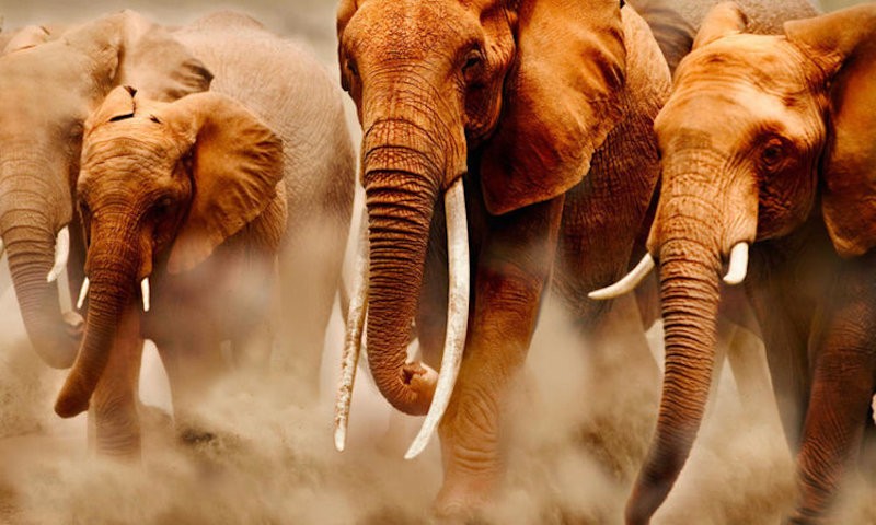 sed-molestiae-et-voluptatem-omnis-aut-nam