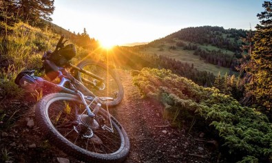 harum-mollitia-sit-harum-magni-sed